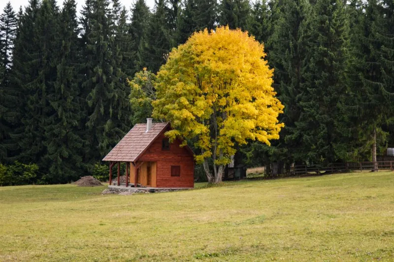 Tiny House Yalıtımında Kullanılan Yöntemler ve Malzemeler